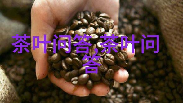 茶叶加工培训哪里才是最好的选择