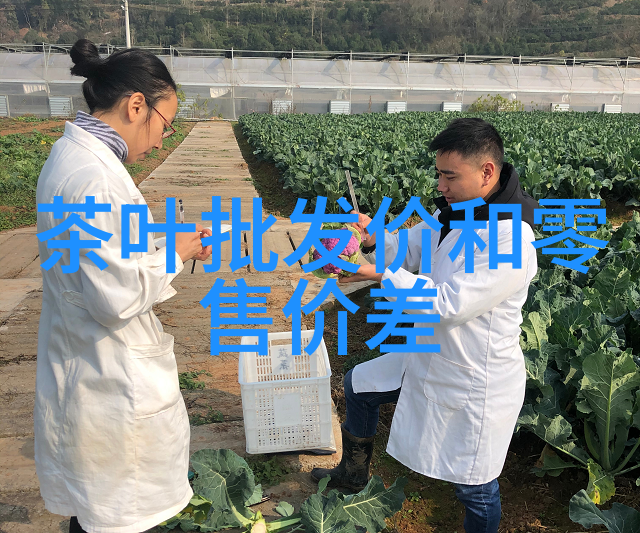 小米 10 周年茶具价格曝光性价比超高你值得拥有